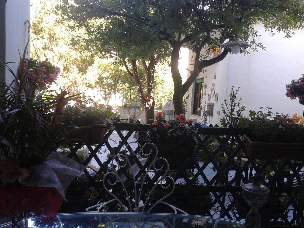 B&B Albatros Lipari  Cameră foto